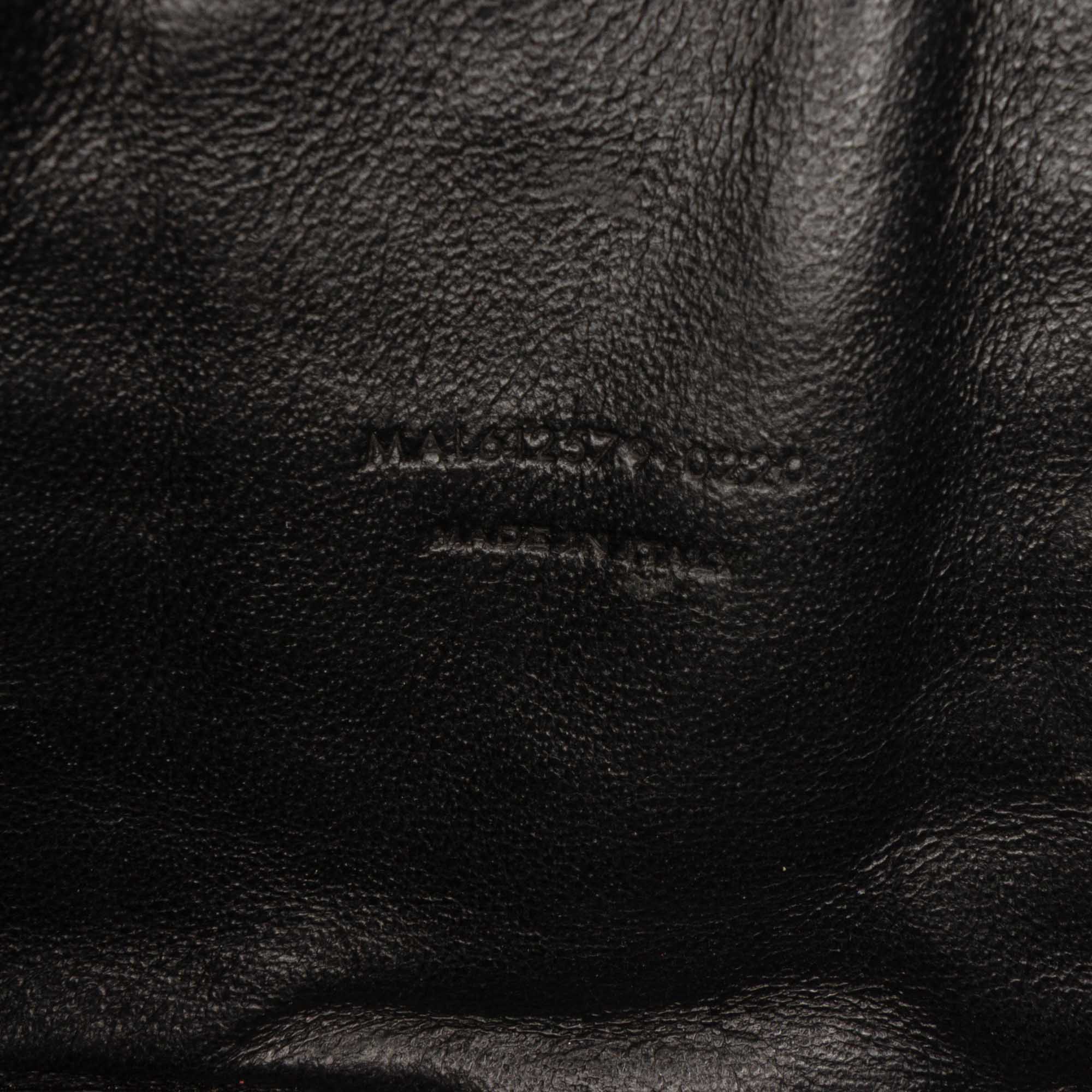 Mini Grain de Poudre Monogram Lou Camera Bag - Image 6